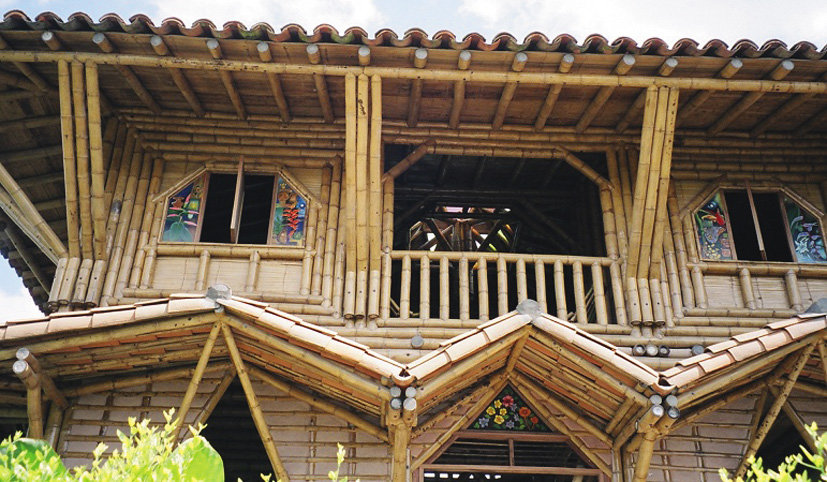Armando Iachini:	Bambú en las construcciones