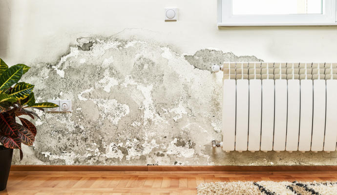 Armando Iachini Consejos para evitar la humedad en las paredes 1 - Consejos para evitar la humedad en las paredes
